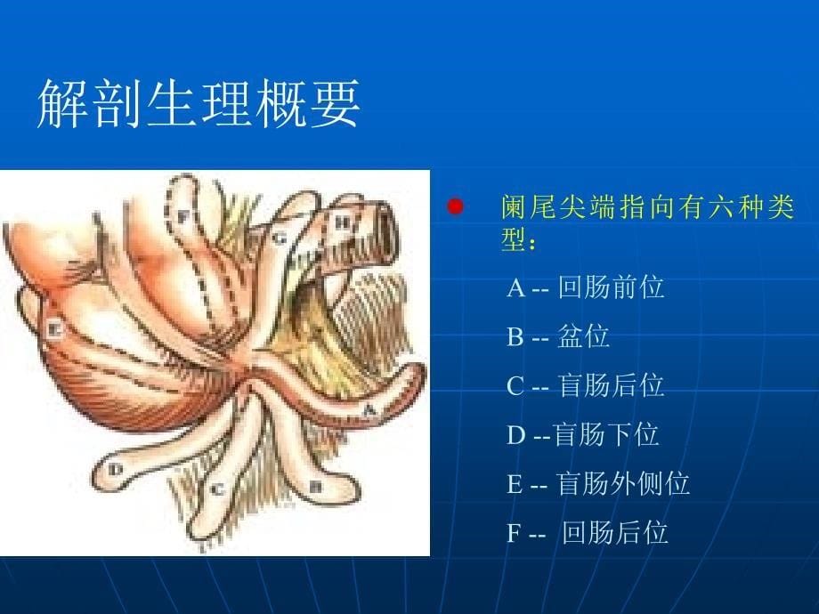 手术室护理查房比赛版【课件】_第5页