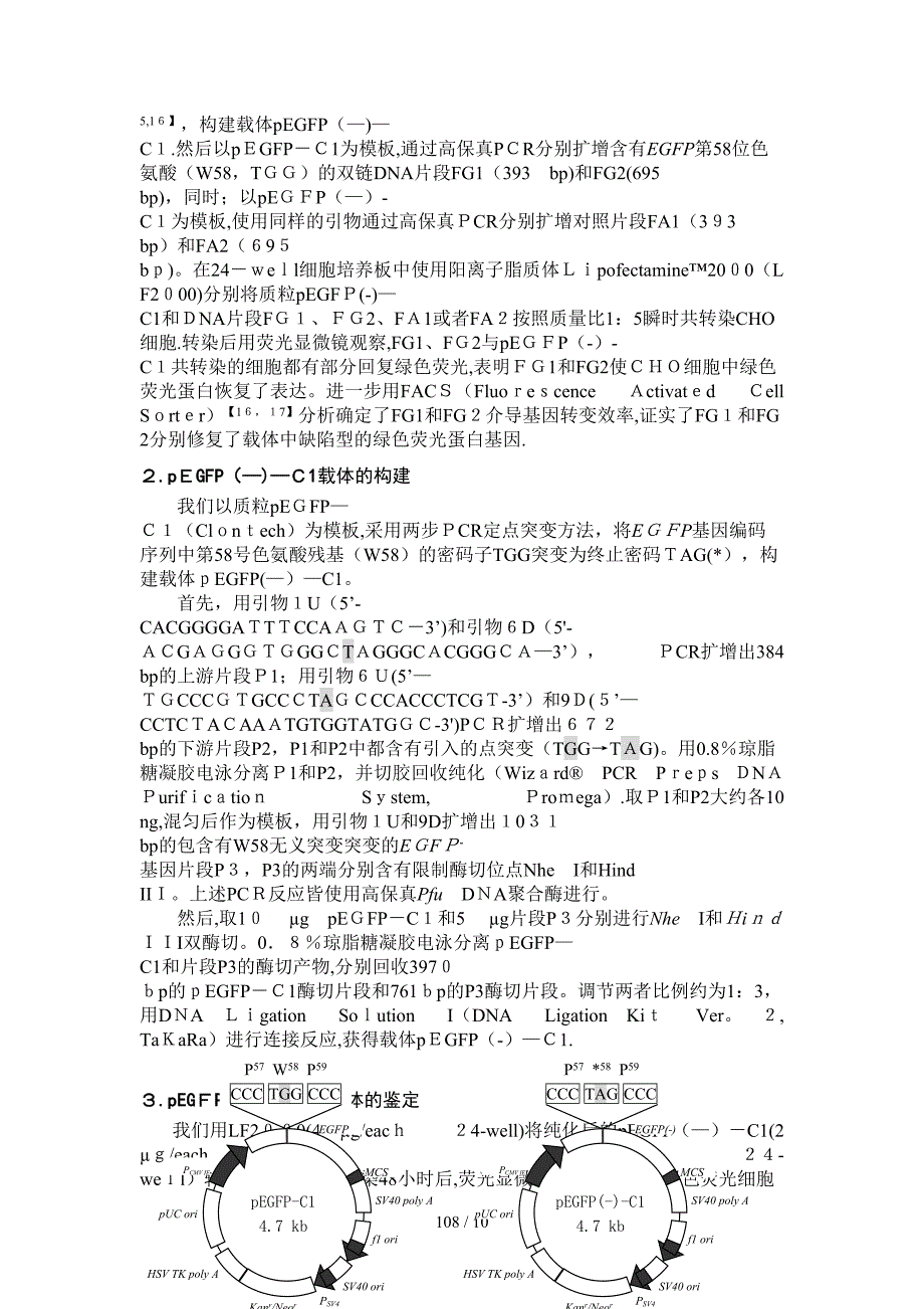 利用短片段同源替换(SFHR)技术进行位点特异修复CHO细胞中游离的_第4页