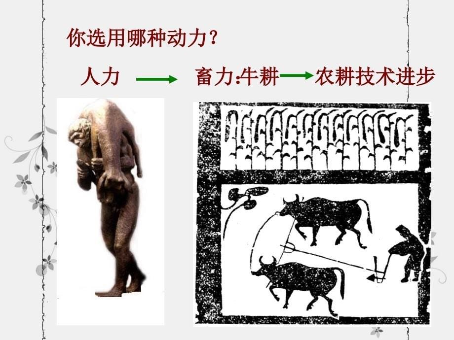 第八课铁器牛耕引发的社会变革_第5页