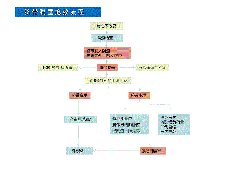 产科急危重症急救流程_第3页