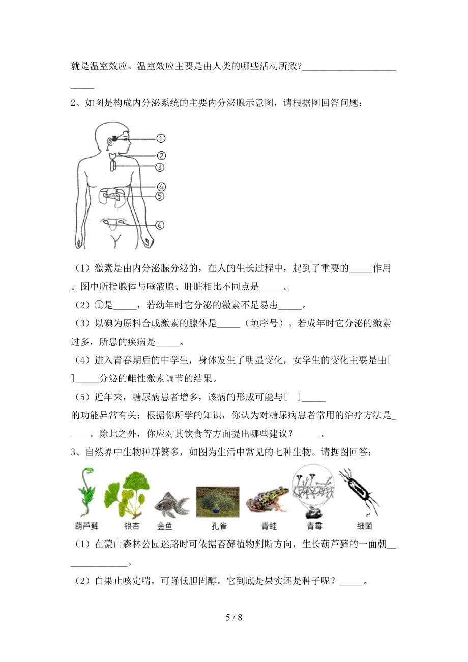 人教版九年级上册《生物》期末考试(可打印).doc_第5页