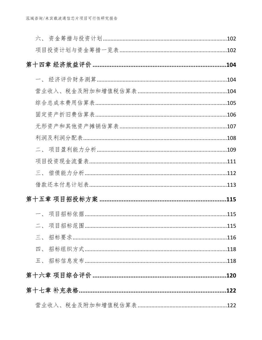 来宾载波通信芯片项目可行性研究报告（范文模板）_第5页