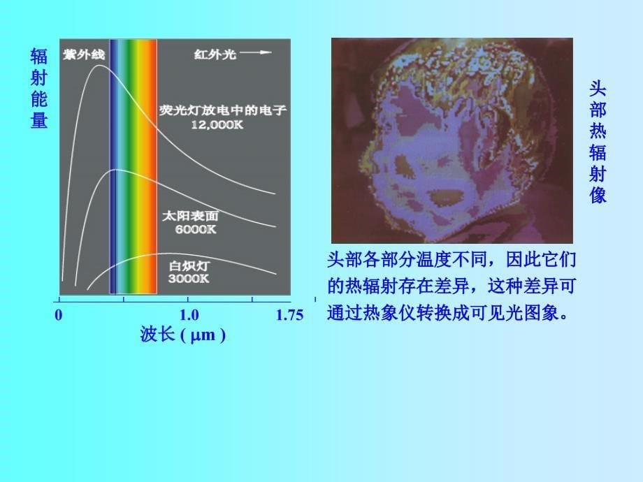 黑体辐射-普朗克假说课件_第5页