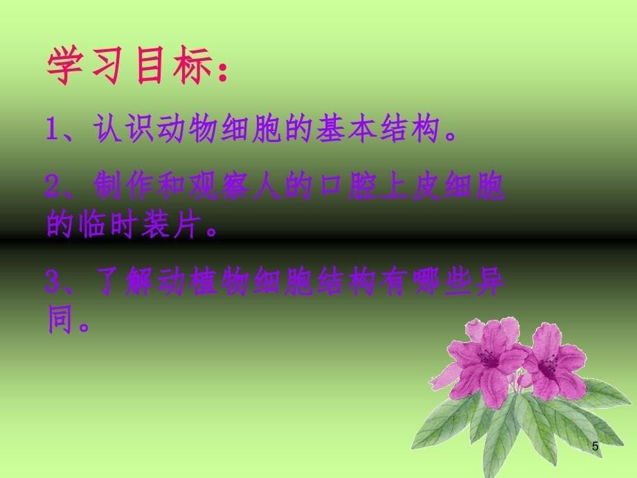 观察动物细胞.ppt_第5页