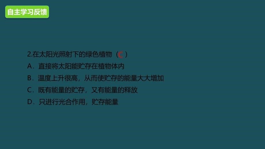 七年级生物上册4.2绿色植物的光合作用2北京课改版ppt课件_第5页