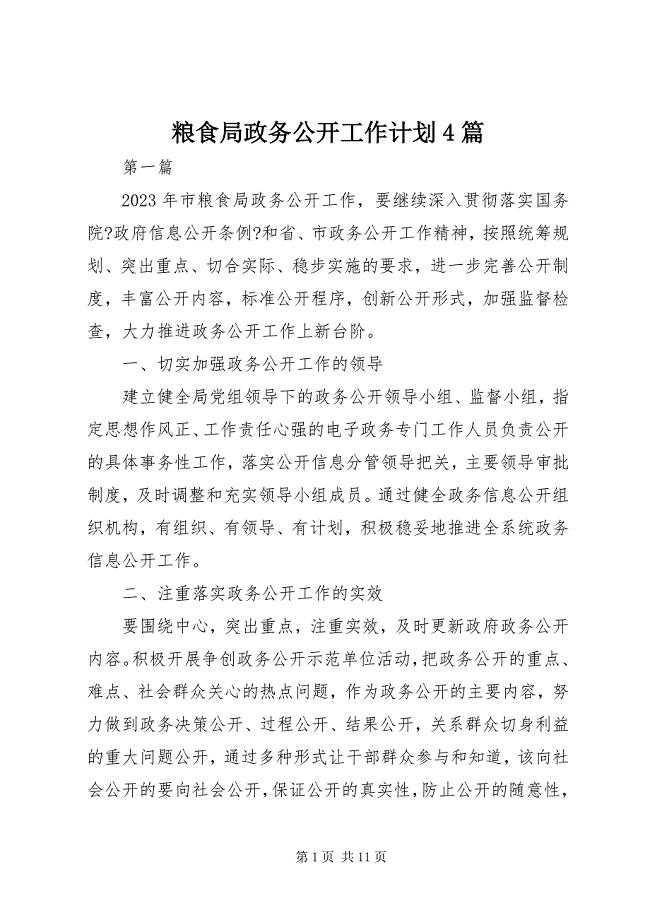 2023年粮食局政务公开工作计划篇.docx