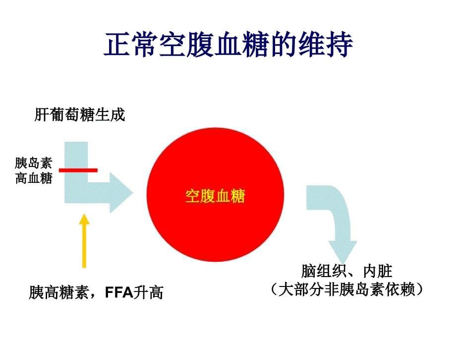 糖尿病胰岛素应用时机_第5页