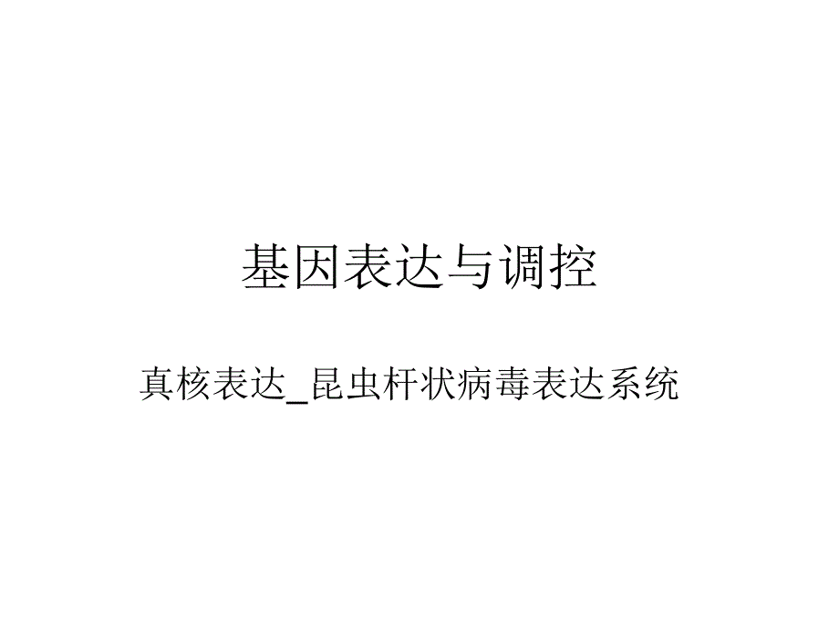 《昆虫表达系统》PPT课件_第1页