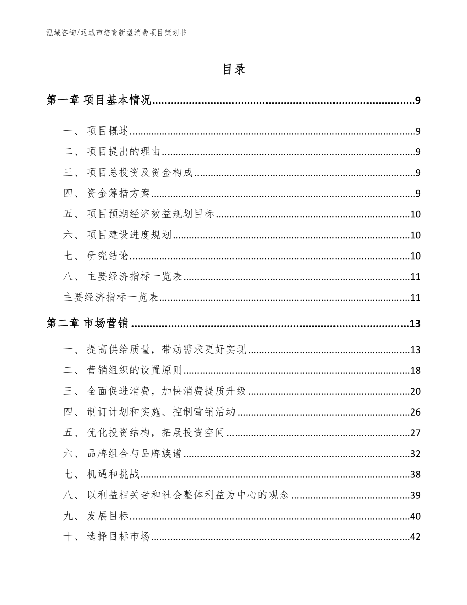 运城市培育新型消费项目策划书_第2页