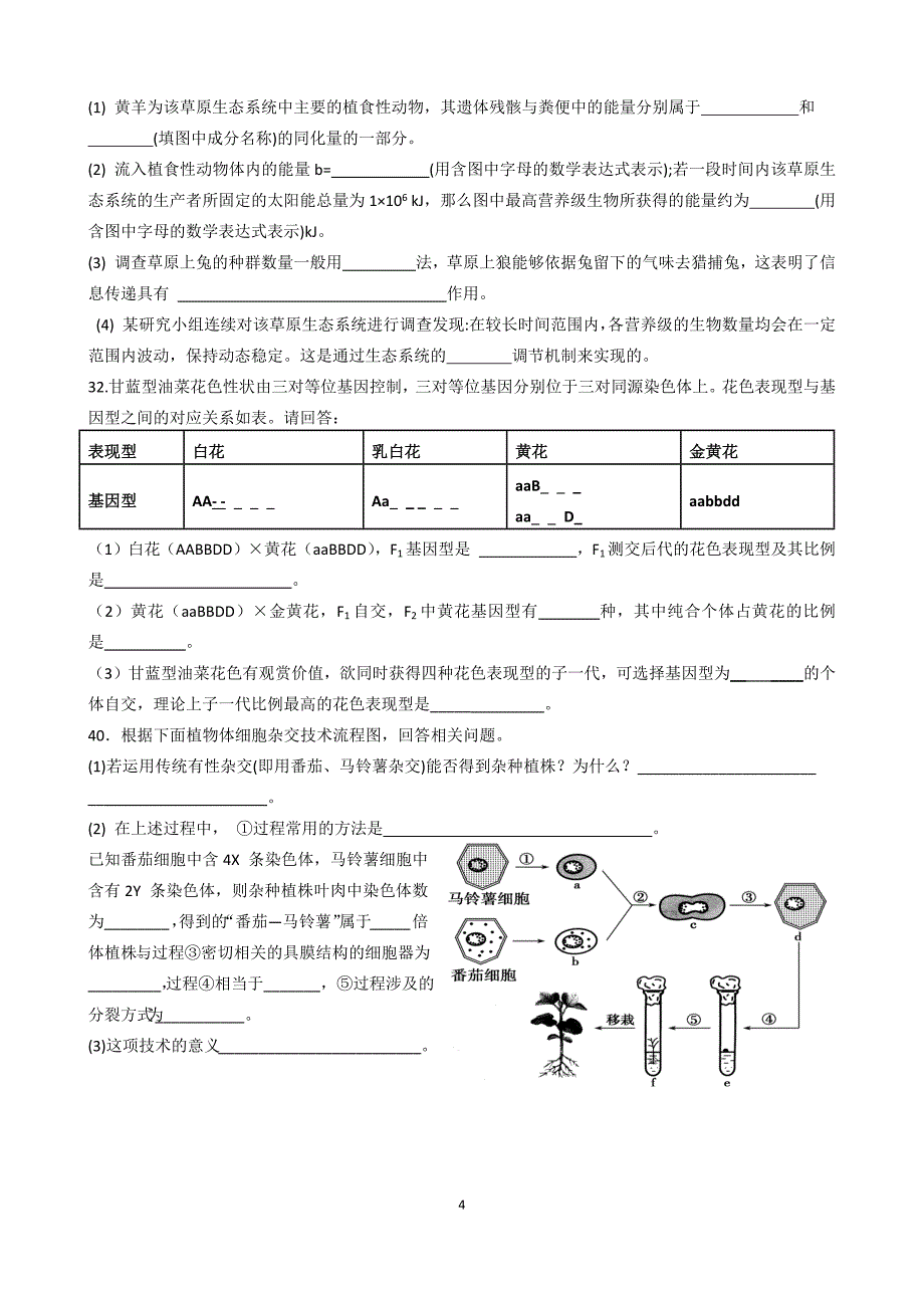 15届高三训练2_第4页