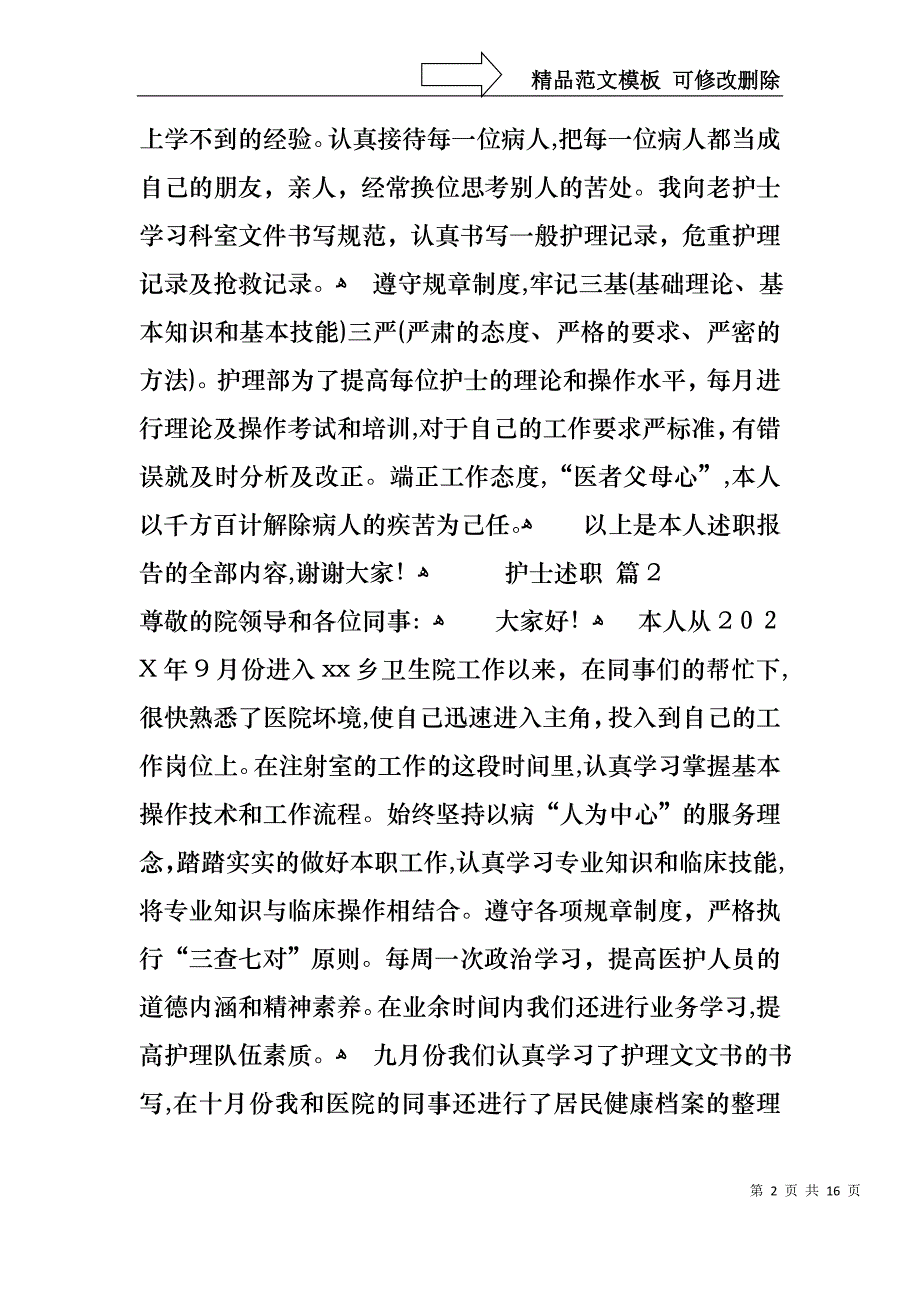 热门护士述职模板八篇_第2页