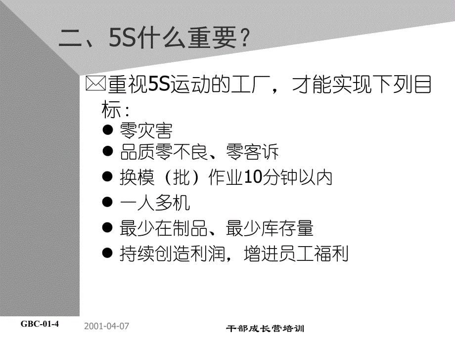 5S运动的推进方法与实施技巧.ppt_第5页