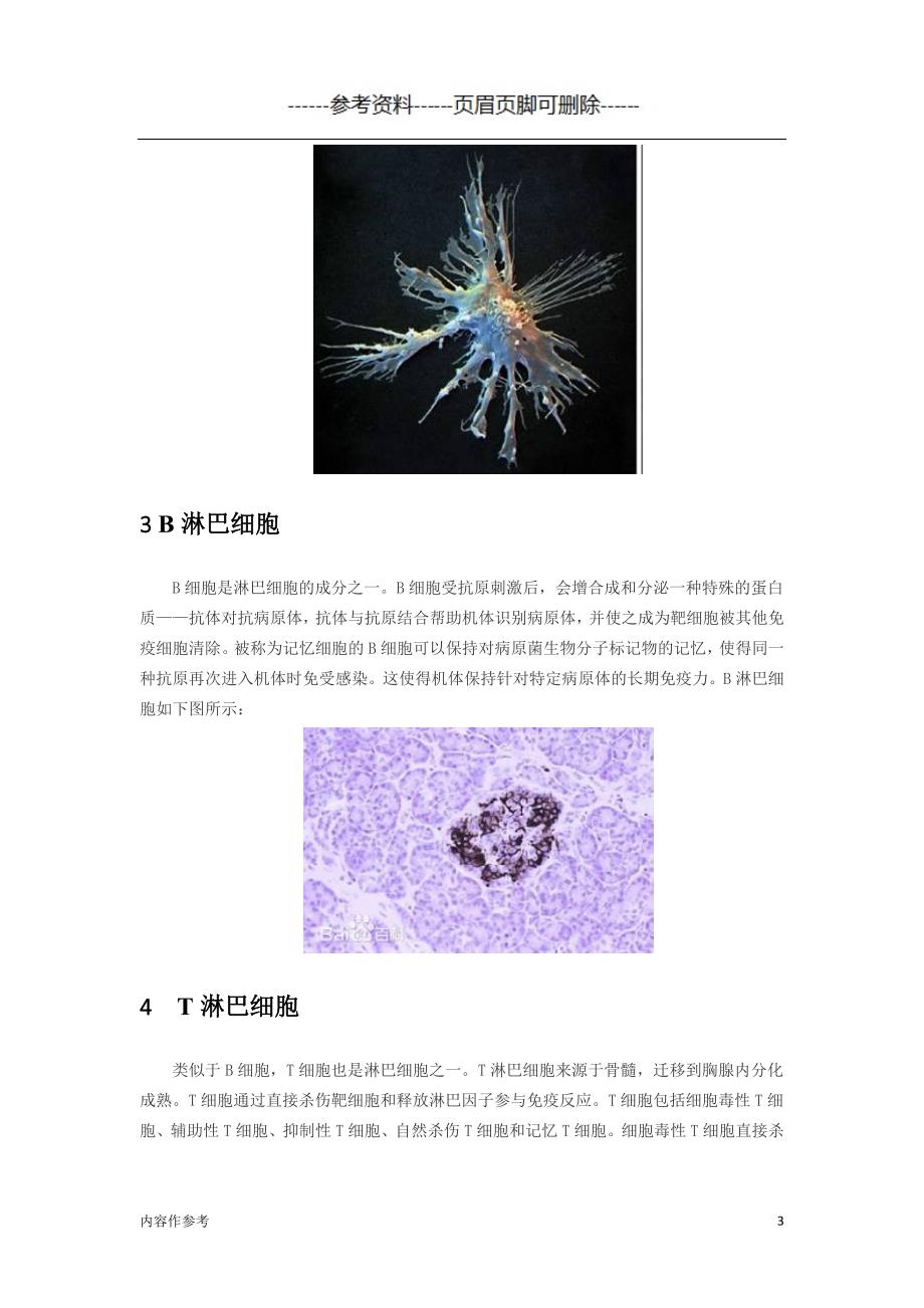 人体八种白细胞类型[参照材料]_第3页