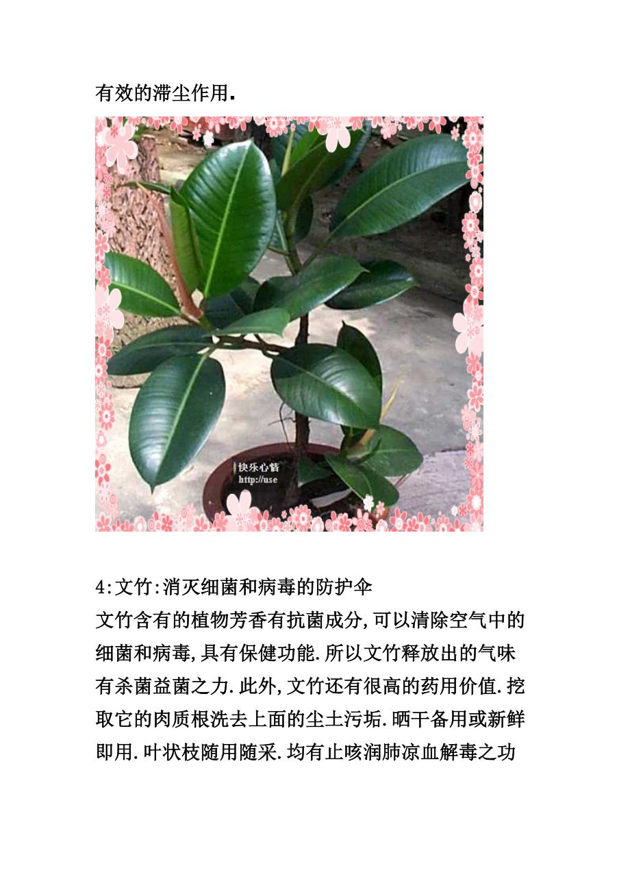 十四种植物放在卧室的作用(精品)_第3页