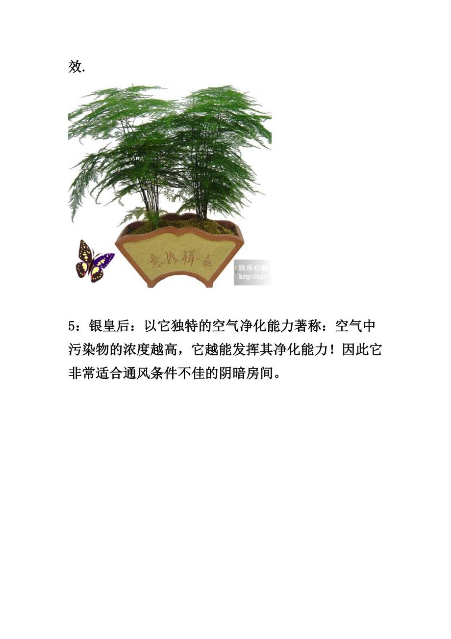 十四种植物放在卧室的作用(精品)_第4页