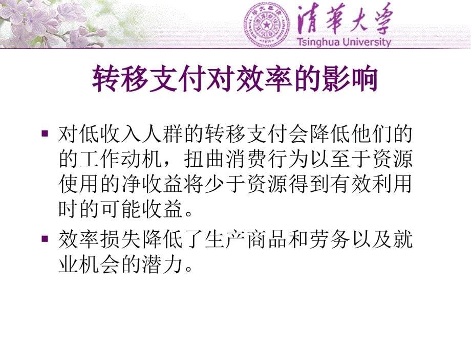 政府补贴与社会保障课件_第5页