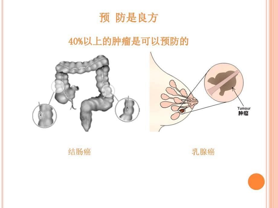 校园健康天使行——健康使者培训_第5页