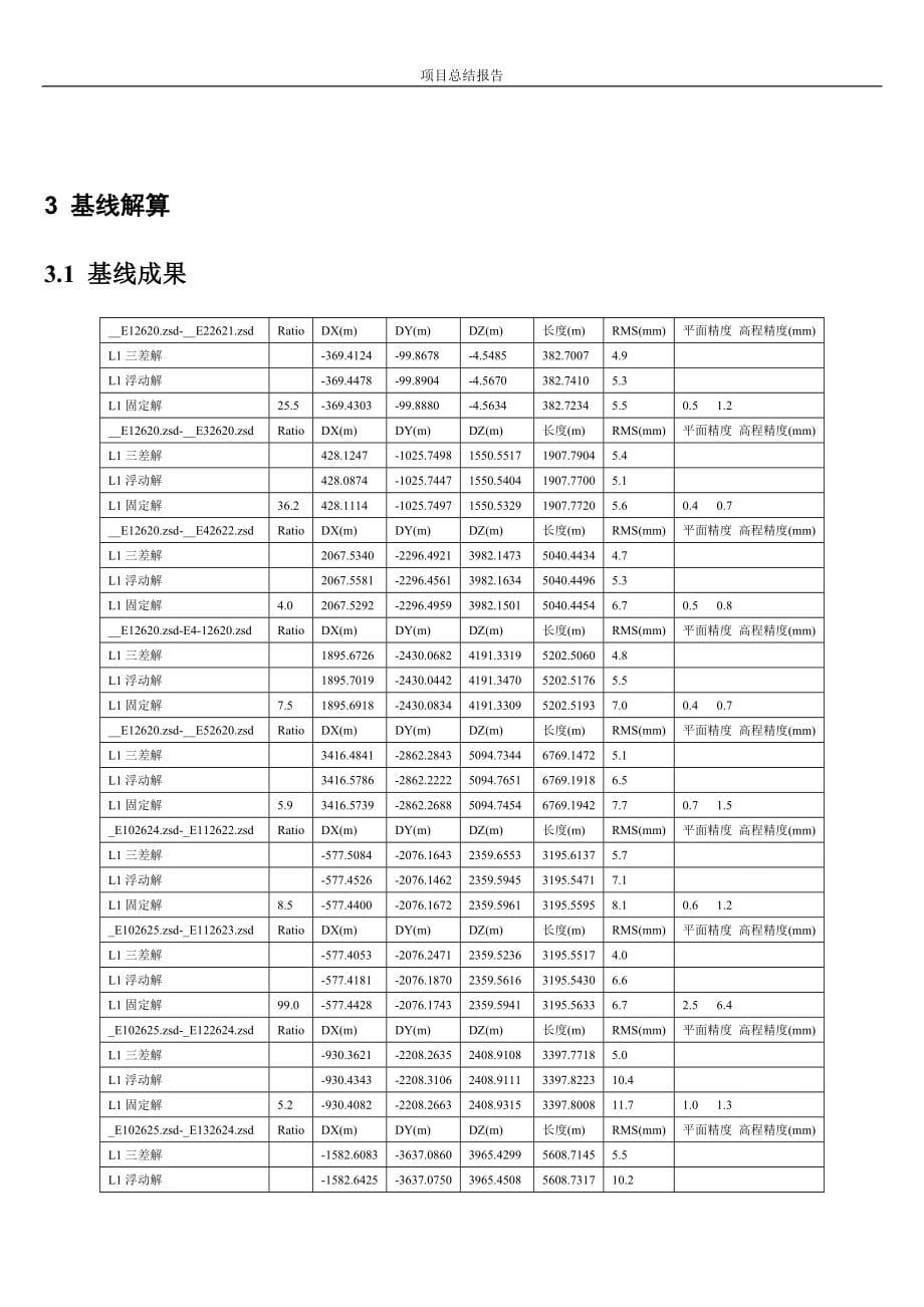 项目总结报告_第5页