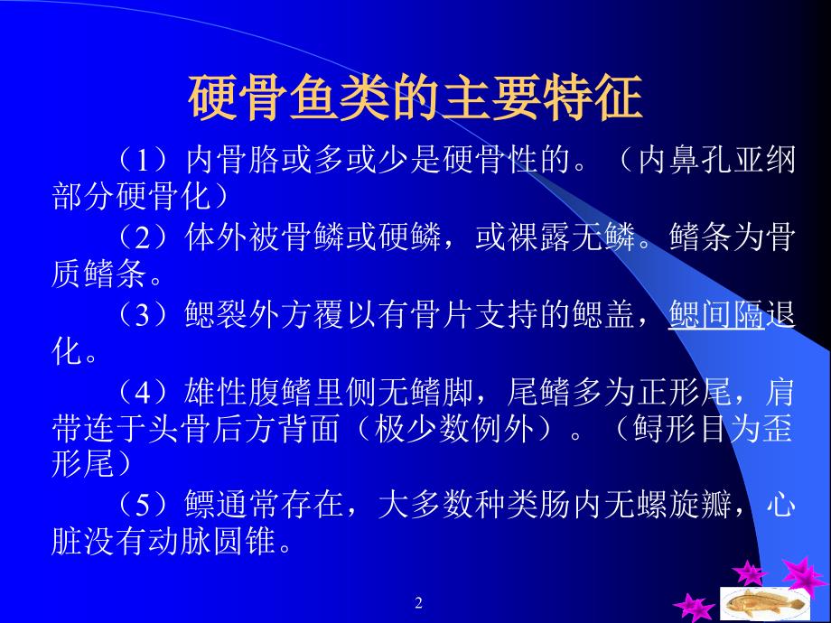 十五章硬骨鱼纲Osteichhyes_第2页