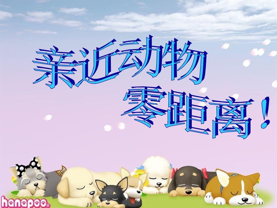 让我们一起走进动物世界.ppt