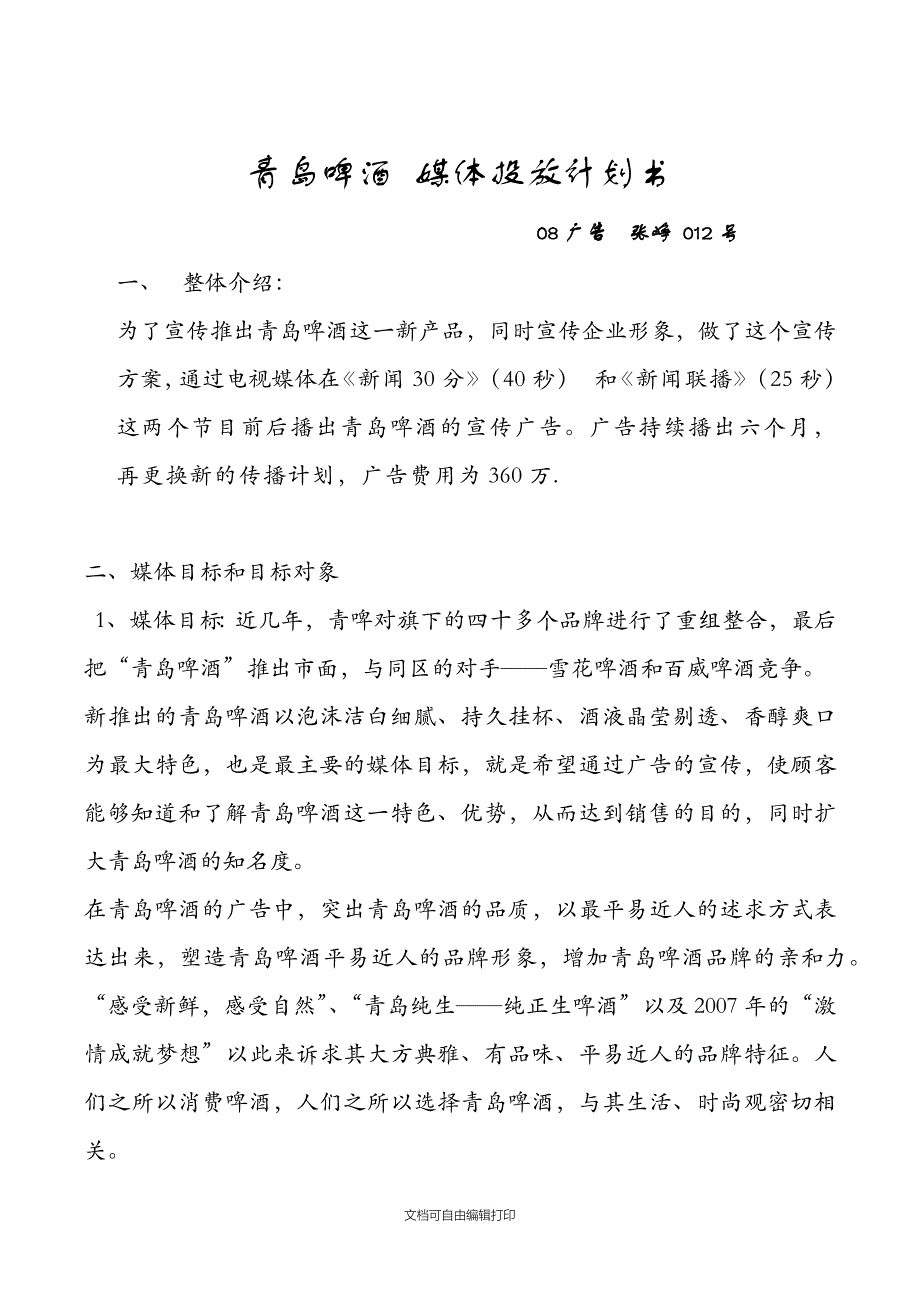青岛啤酒媒体投放计划书_第1页