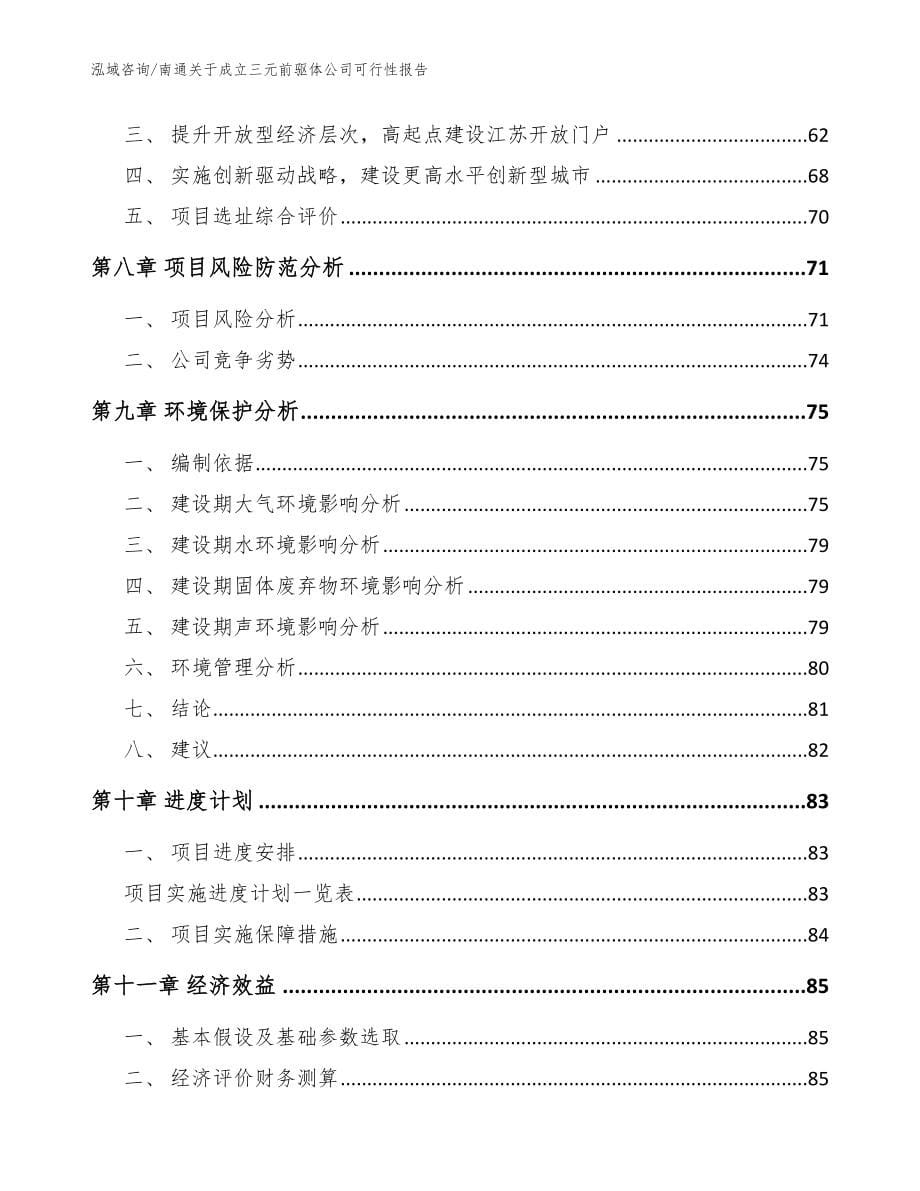 南通关于成立三元前驱体公司可行性报告（模板）_第5页