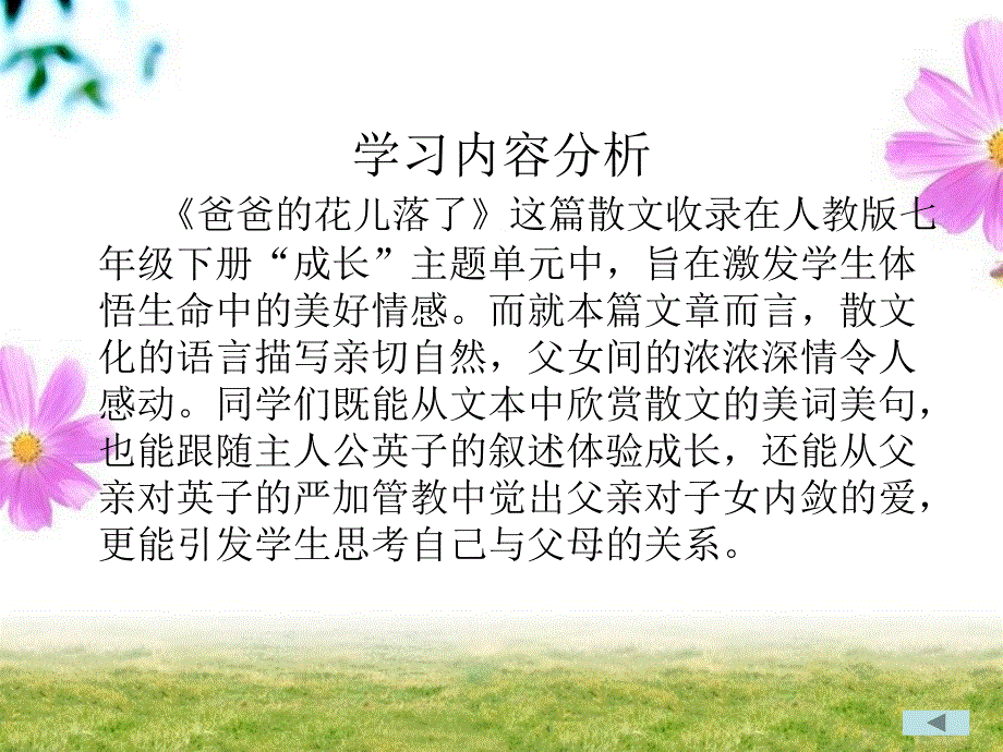 爸爸的花儿落了_第4页