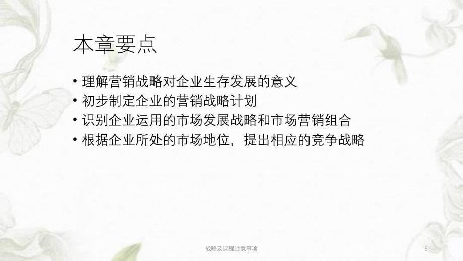 战略及课程注意事项ppt课件_第5页