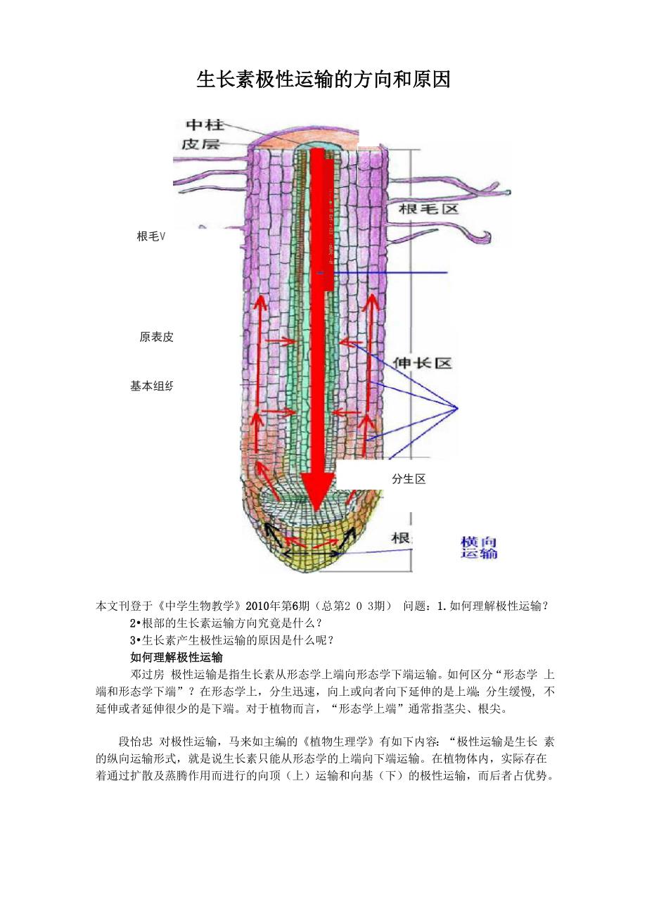 生长素极性运输的方向和原因_第1页