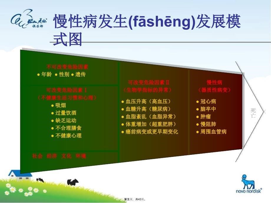 慢性病与生活方式知识讲座教案资料_第5页