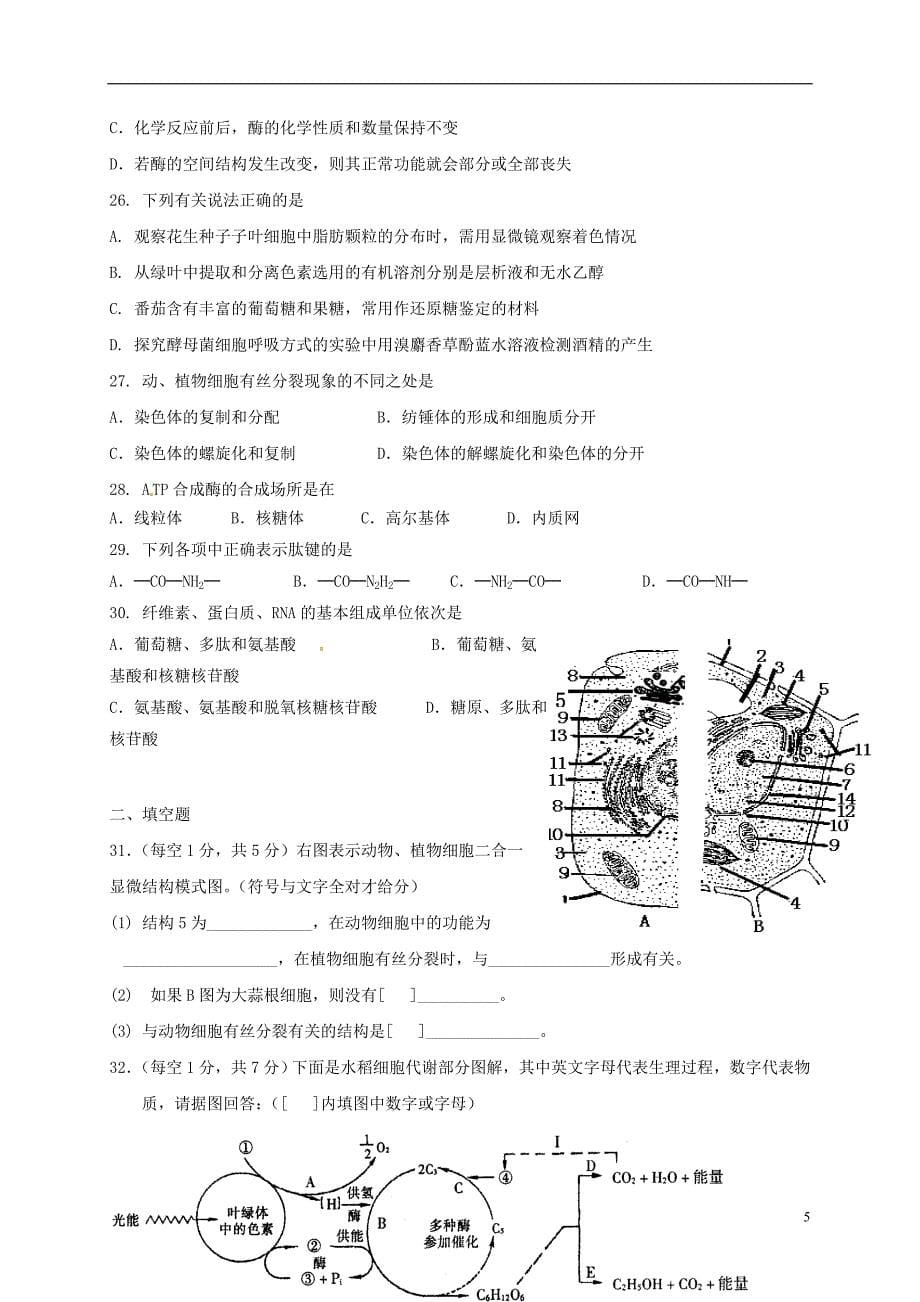 福建省师大附中2016-2017学年高二生物上学期期末考试试题实验班_第5页