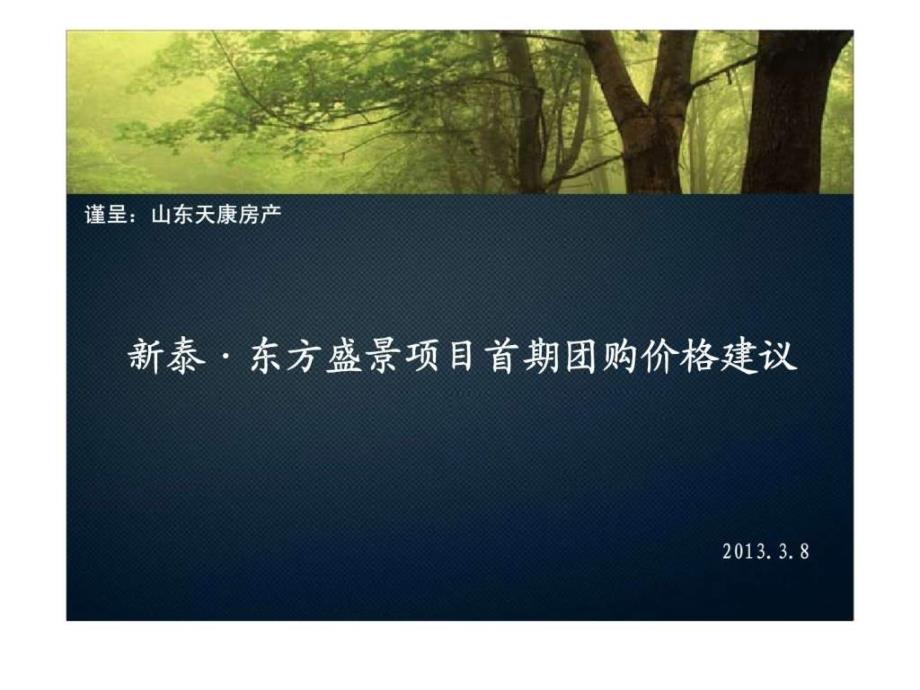 山东新泰东方盛景项目首期团购价格建议前期策划_第1页