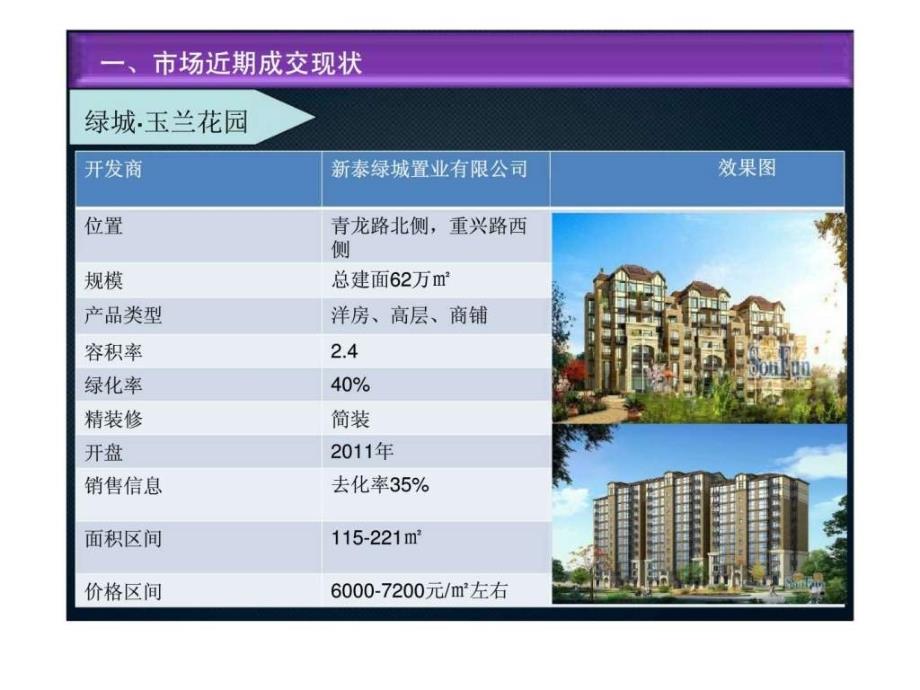 山东新泰东方盛景项目首期团购价格建议前期策划_第4页