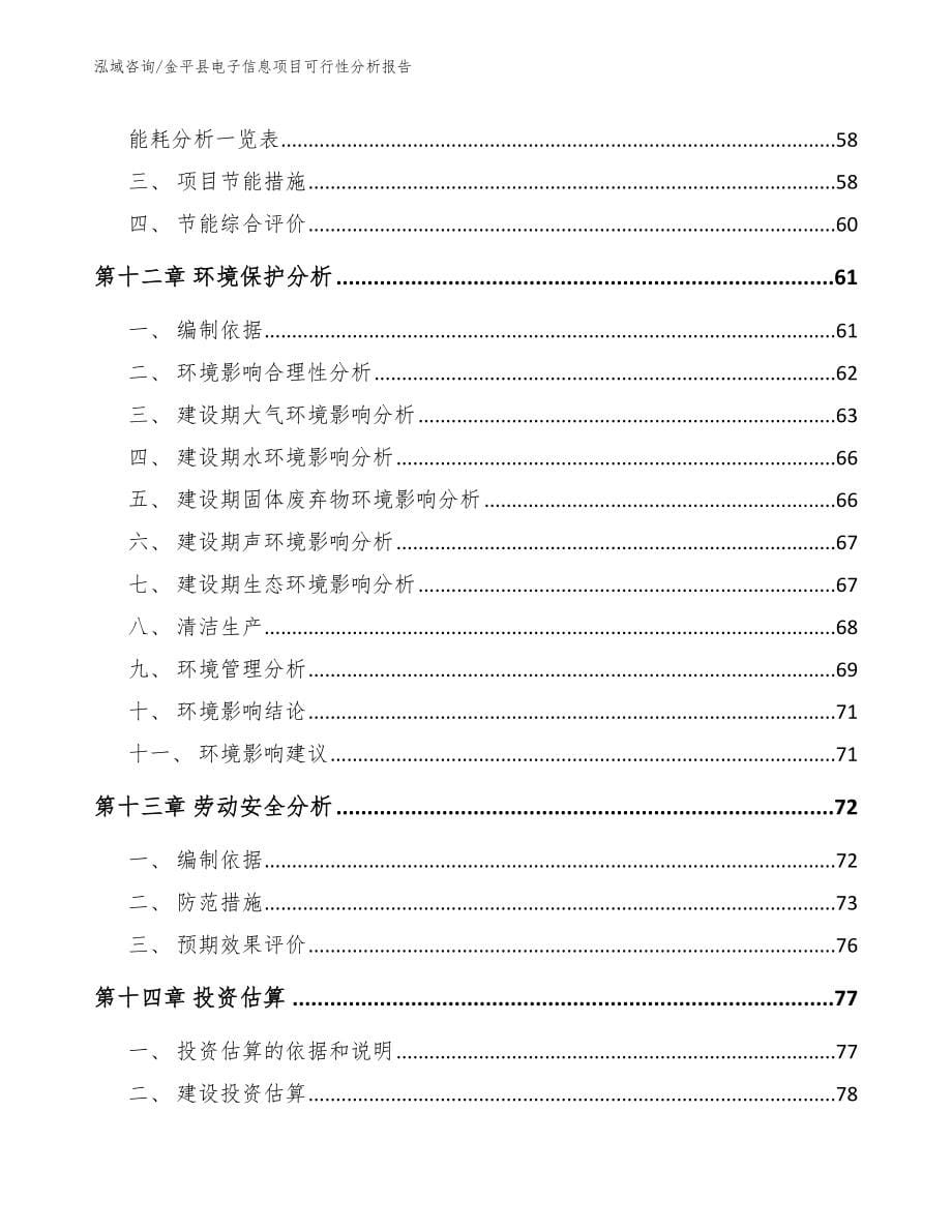 金平县电子信息项目可行性分析报告_第5页