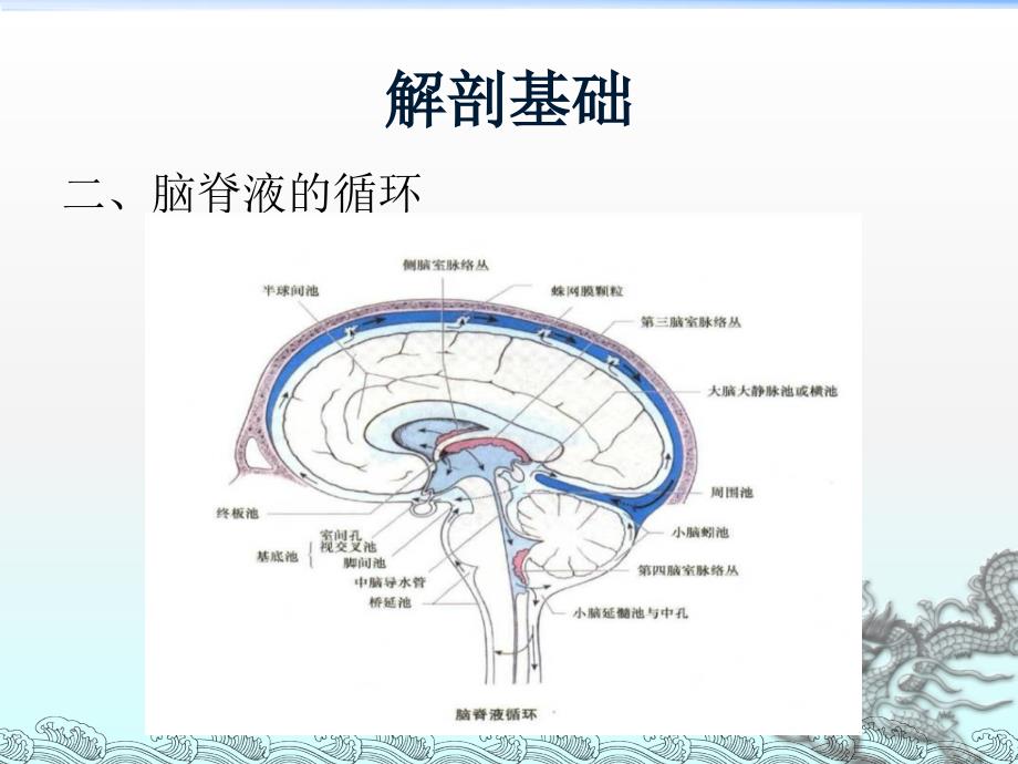 侧脑室穿刺术PPT课件_第4页