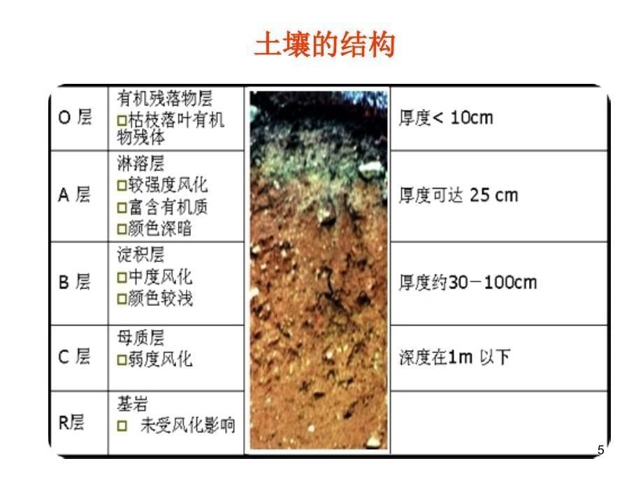 教科版小学五年级科学上册第三单元土壤中有什么_第5页