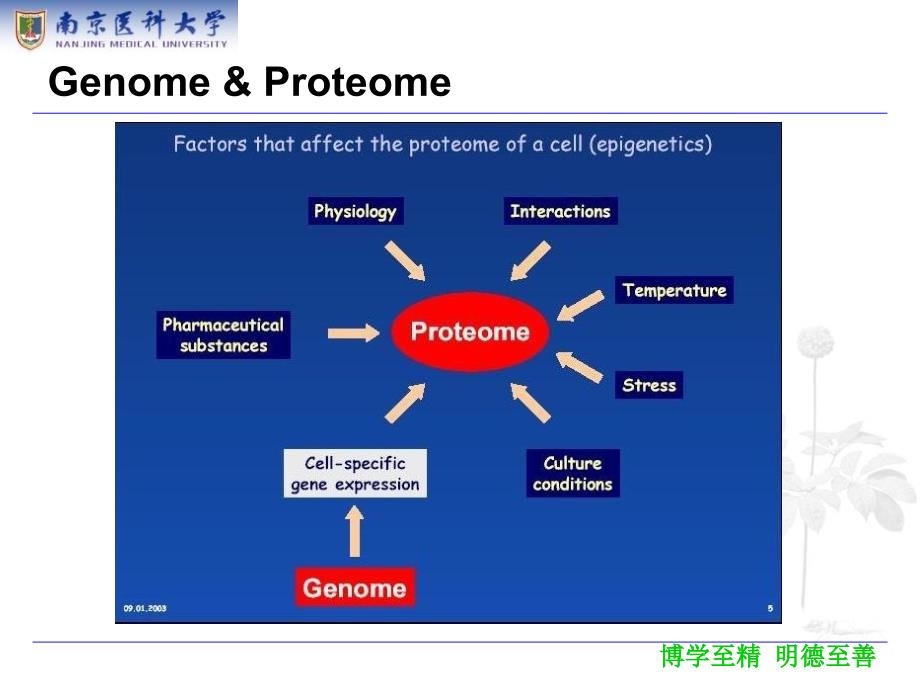 蛋白质组学proteomicswxj课件_第4页