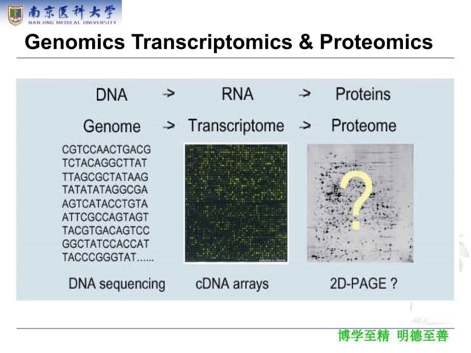 蛋白质组学proteomicswxj课件_第5页