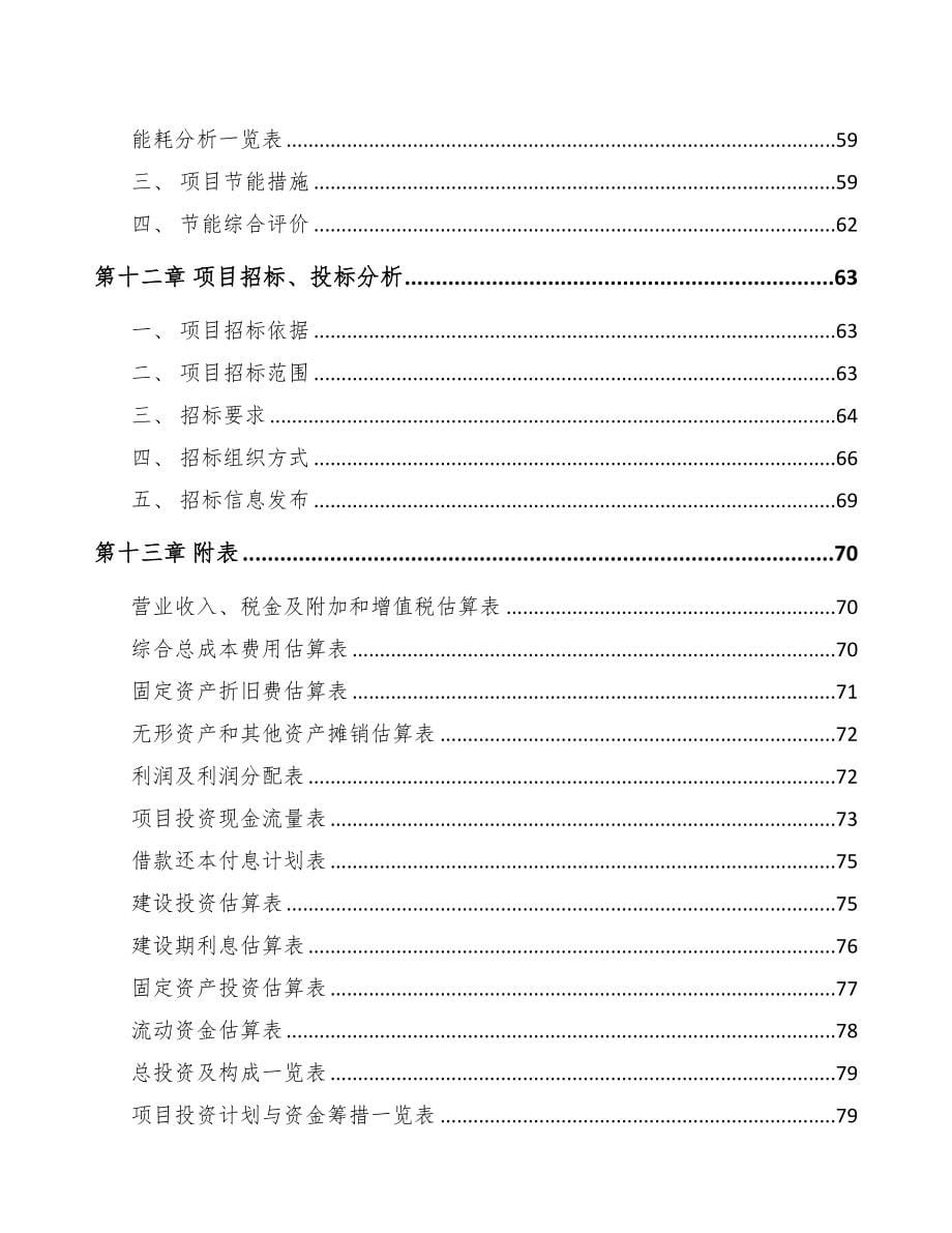 辽宁汽车传动轴项目可行性研究报告(DOC 56页)_第5页