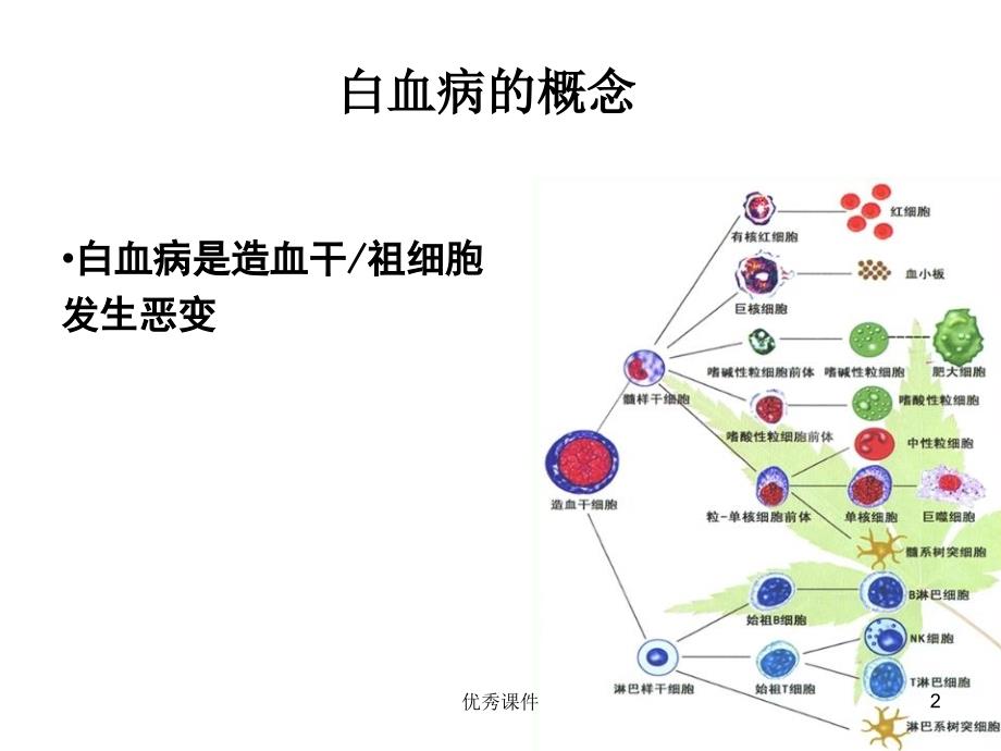 常见血液病急性白血病的MICM分型和预后【医疗资料】_第2页