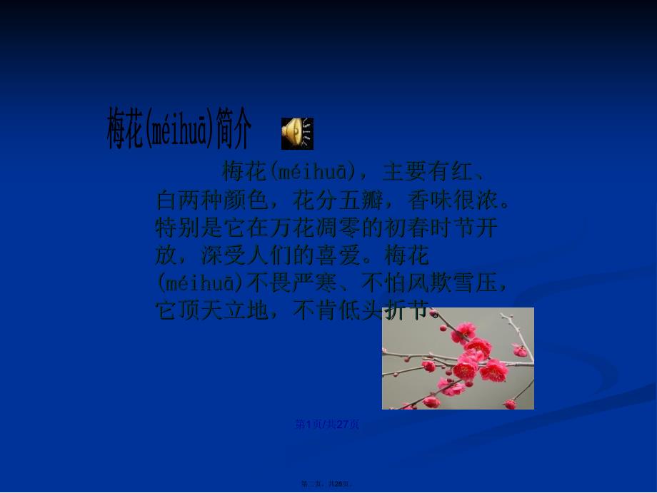 人教梅花魂学习教案_第2页