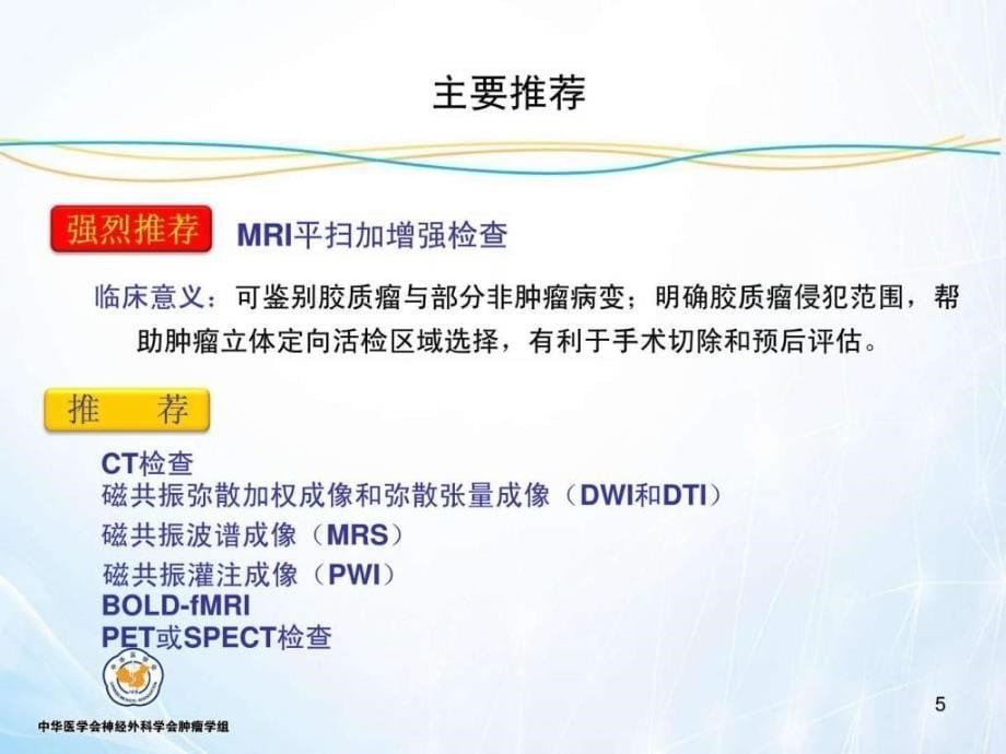 中国胶质瘤指南图文.ppt_第5页