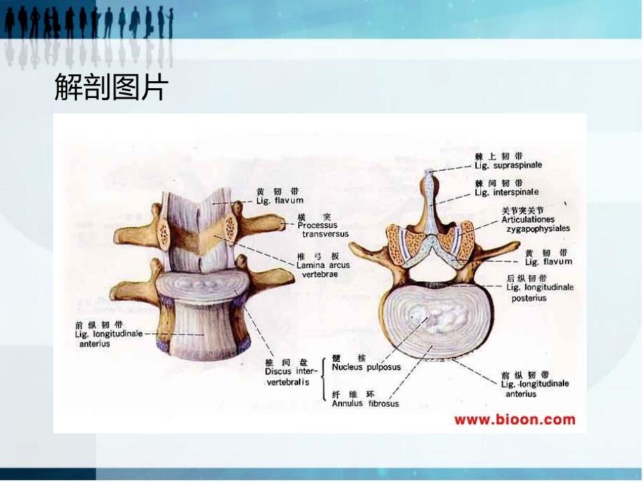 椎间盘突出症的微创治疗方法的选择_第4页