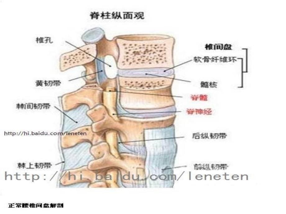 椎间盘突出症的微创治疗方法的选择_第5页