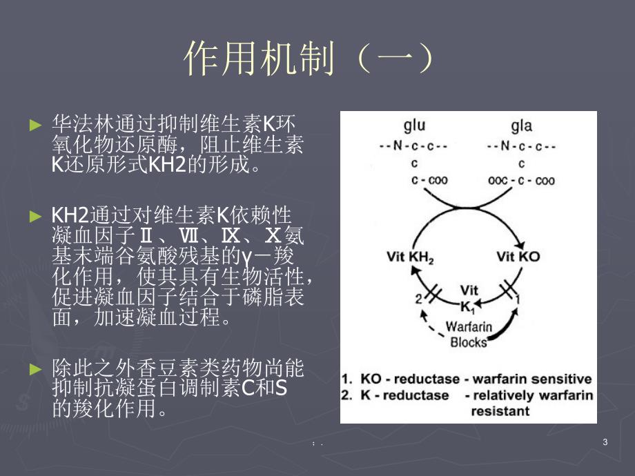 华法林治疗指南2ppt课件_第3页