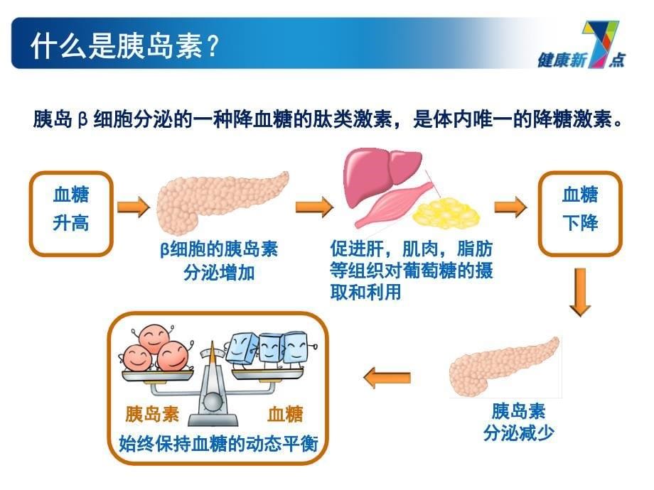 糖尿病患者教育课件第1篇总览_第5页