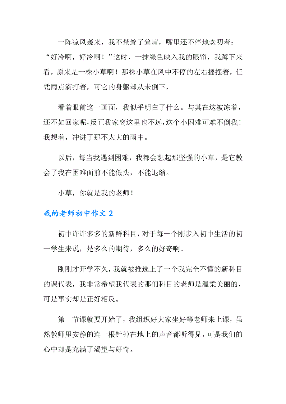 我的老师初中作文集合15篇_第2页