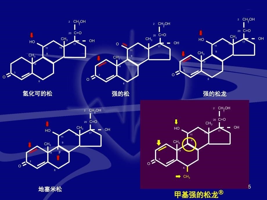 优质课件糖皮质激素的概念和分类_第5页