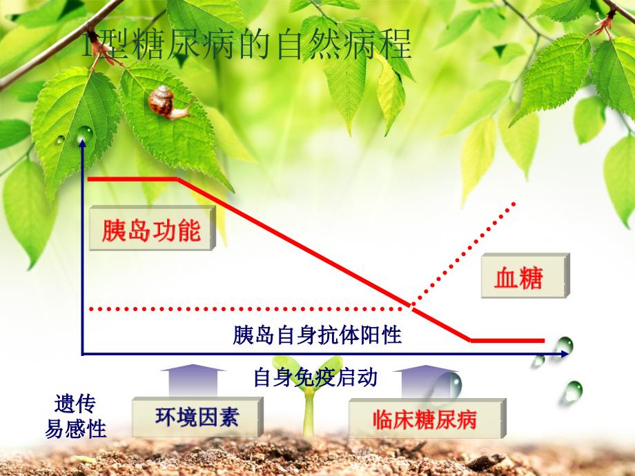 糖尿病实验室检查及应用_第5页