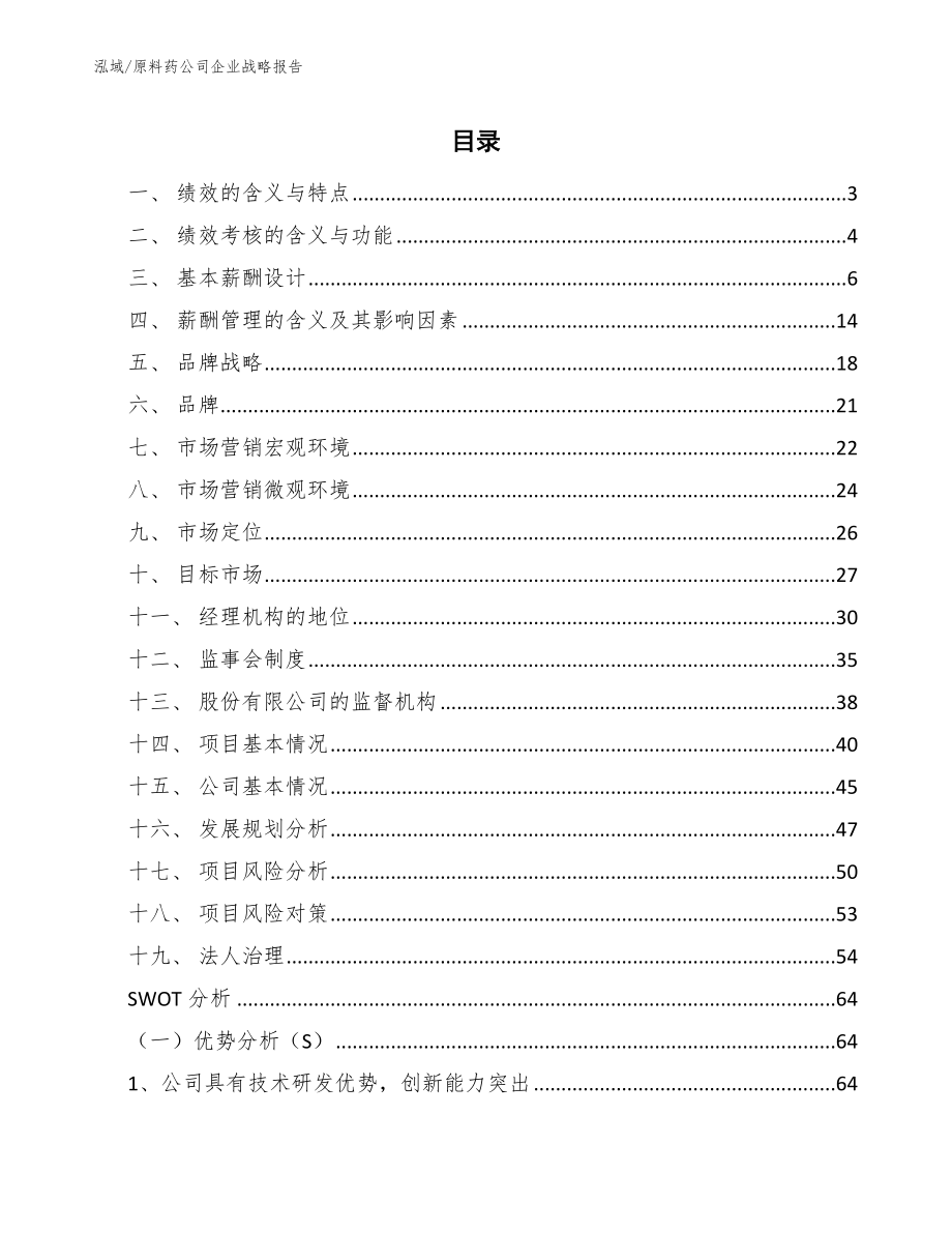 原料药公司企业战略报告（范文）_第2页